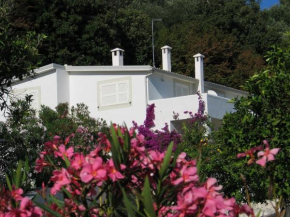 Villa Giulia - Apartment in Villa with sea view Rodi Garganico